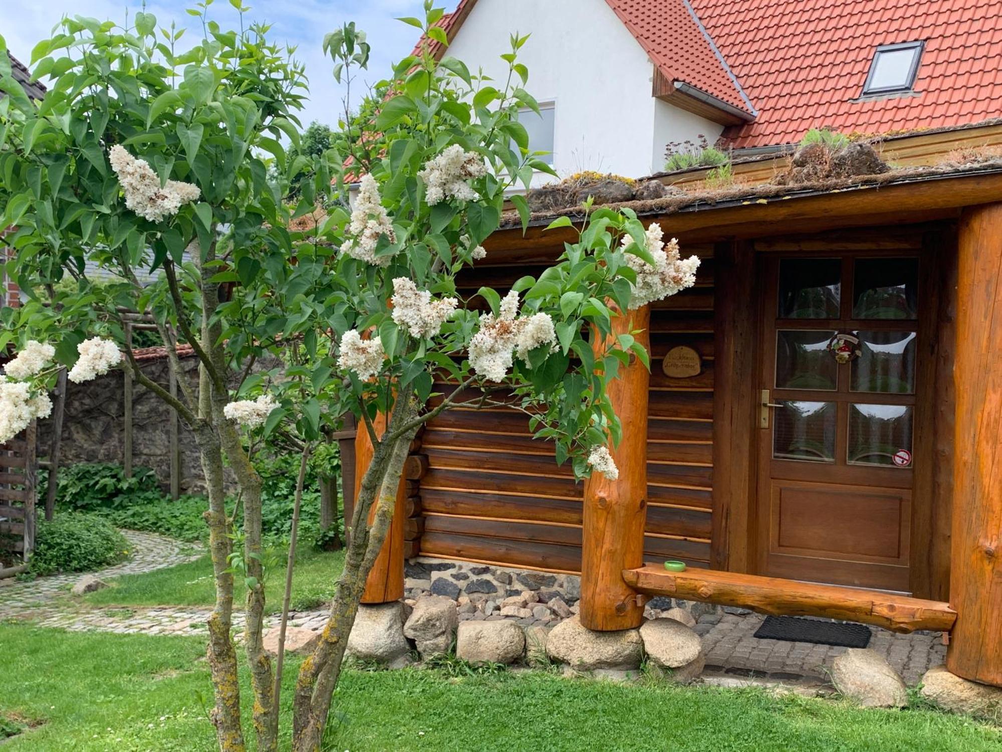 קדלינבורג Blockhausvermietung "Vor Dem Groeperntor" מראה חיצוני תמונה